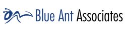Blue Ant Alliance